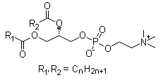 Lecithin